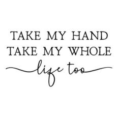 take my hand take my whole life too