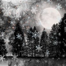 Black and Grey Monochrome Alcohol Ink and Silver Glitter Snowflakes Fo