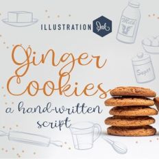 ZP Ginger Cookies Light