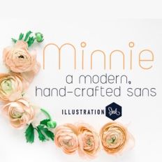 PN Minnie Light