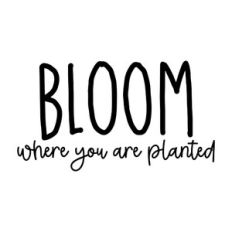 Bloom Where You Are Planted