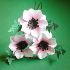 Beauty Flower
