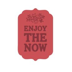 Enjoy The Now