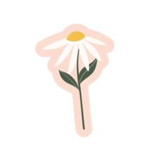 Daisy