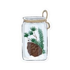 Pinecone In A Jar