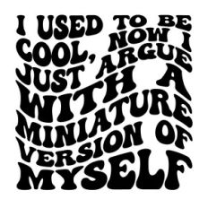 I used to be cool, now I argue with a miniature version of myself