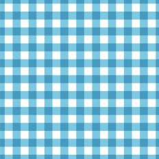 Blue Picnic Cloth Plaid