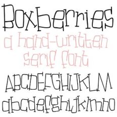 PN Boxberries