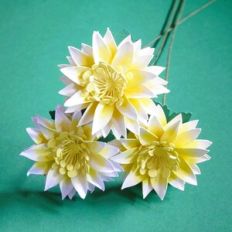 Desire Flower