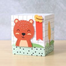 Large Cube Box