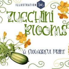 ZP Zucchini Blooms