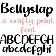 PN Bellyslap