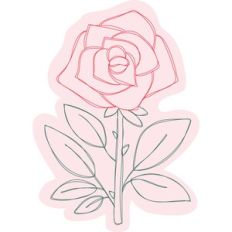 Sketched Rose Flower