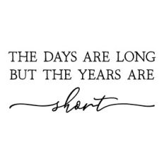 the days are long but the years are short