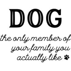 Dog The Only Member Of your Family You Actually Like