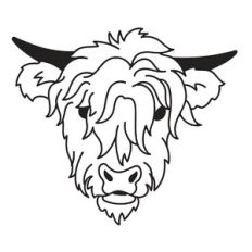 Highland Cow