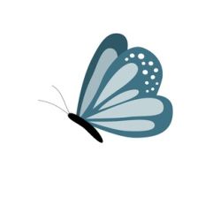 Blue Butterfly