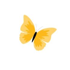 Yellow Butterfly