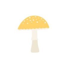 Yellow Mushroom