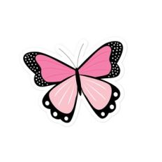 Pink Butterfly