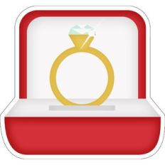 Wedding Ring / engagement ring