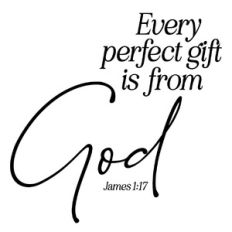 Every Perfect Gift Is From God - James 1:17 Scripture Quote