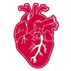 Heart
