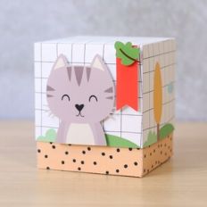 Large Cube Box