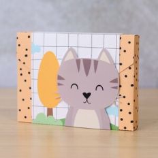 Envelope Box Medium