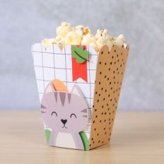 Popcorn Box
