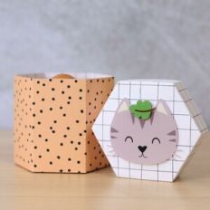 Hexagonal Box Large