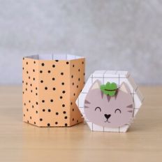Hexagonal Box Small