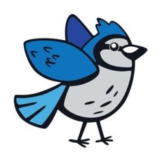 Blue Jay