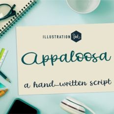 ZP Appaloosa