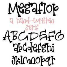 PN Megaflop