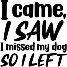 I came, I saw, I missed my dog