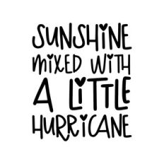 Sunshine mixed with a little hurricane