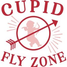 Cupid No Fly Zone
