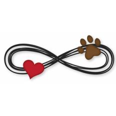 infinite paw love