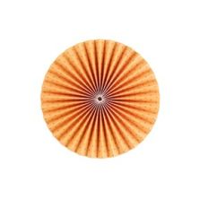 Party Paper Fan