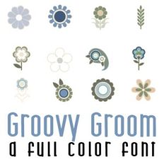 Groove Groom Full Color Doodlebat