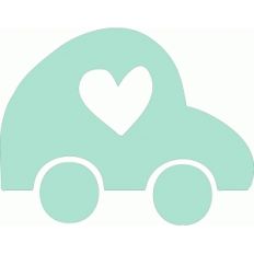 amy tan car