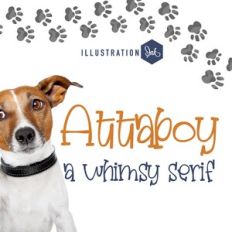 ZP Attaboy