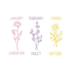 Birth Flowers January February March