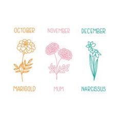 Birth Flowers October November December