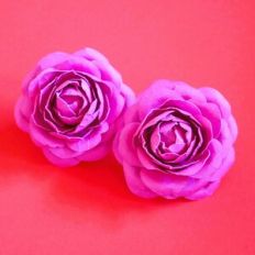 Venus English Rose