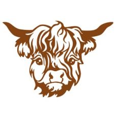 Highland Cow Face