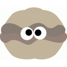 clam