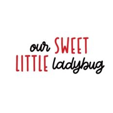 Our Sweet Little Ladybug
