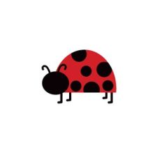 Ladybug